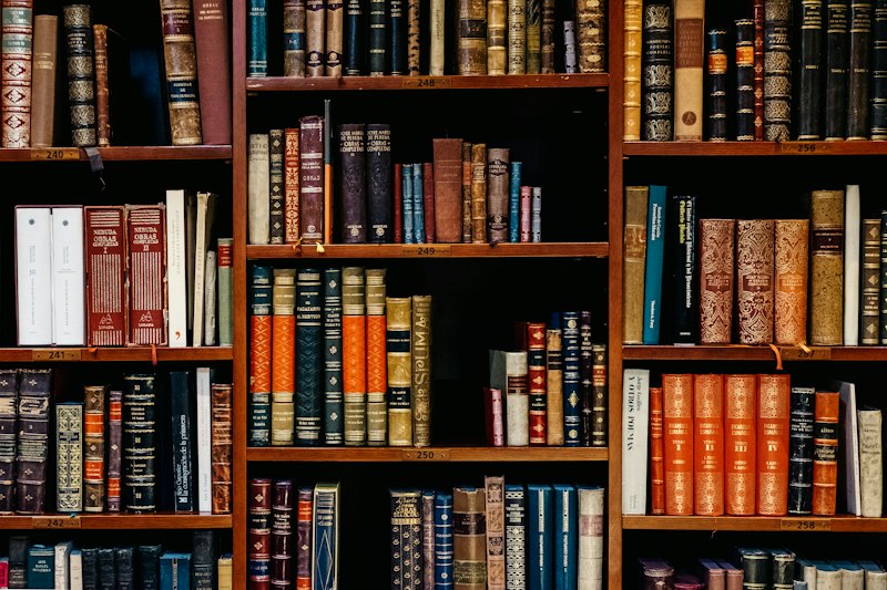 Bookshelves filled with books